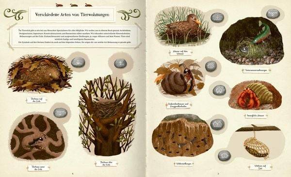 Tierisch gut gebaut – Von Nestern, Höhlen und anderen Tierwohnungen