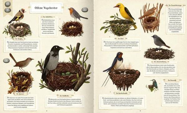 Tierisch gut gebaut – Von Nestern, Höhlen und anderen Tierwohnungen