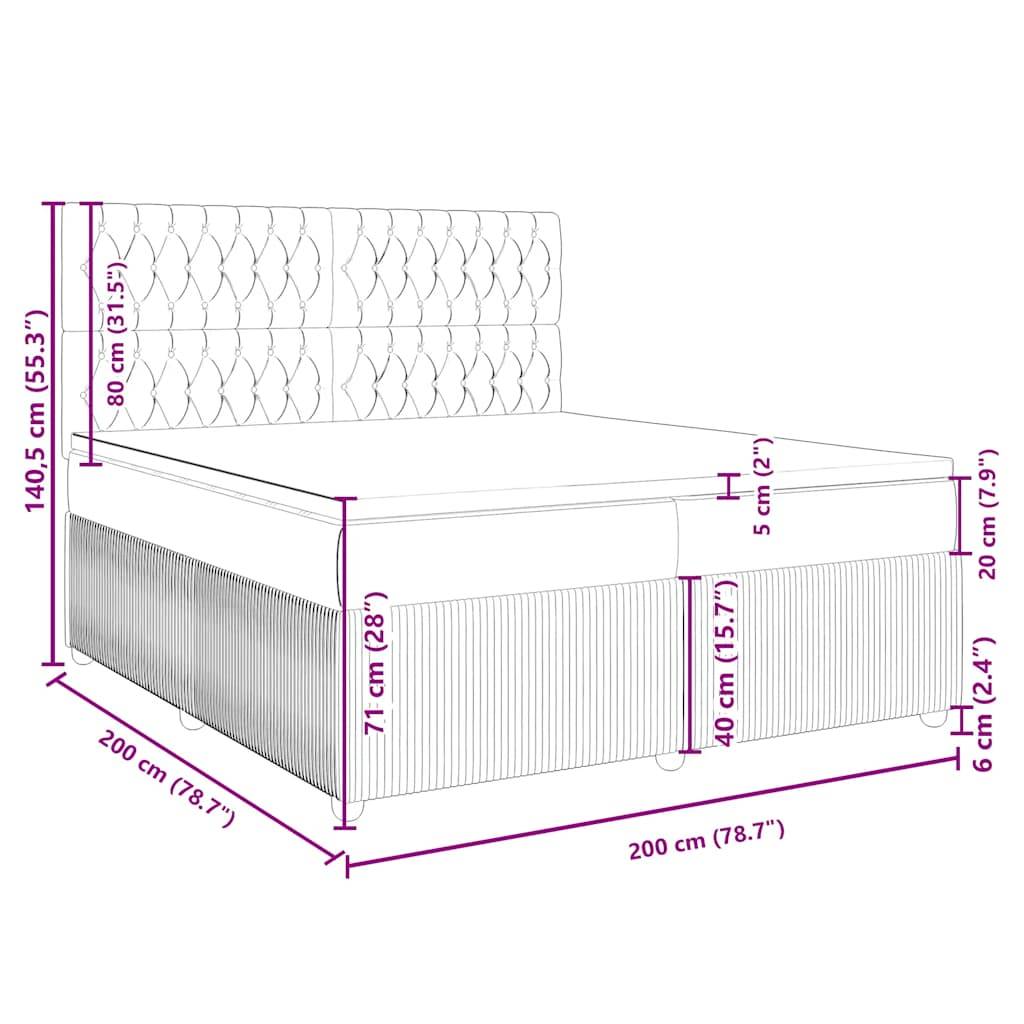 vidaXL Boxspringbett mit Matratze Schwarz 200x200 cm Samt