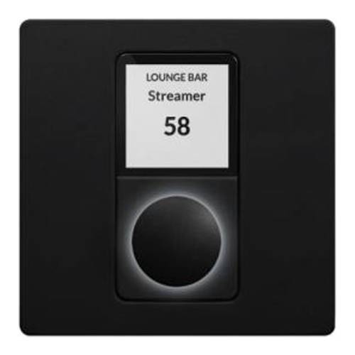 NEXO NANORM-EU - PoE Fernbedienung passend für TD-Controller NANONXAMP4 - in schwarz