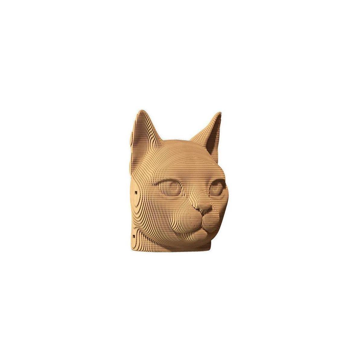 CARTCAT - Katze