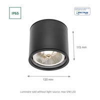Spectrum LED Chloe GU10 AR111 Aufbauleuchte schwarz Deckenleuchte IP65 max. 12W rund Spectrum LED Chloe GU10 AR111 Aufbauleuchte schwarz Deckenleuchte IP65 max. 12W rund
