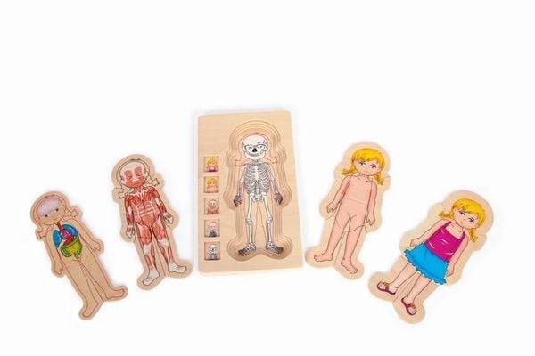 Small foot 5814 - Schichtenpuzzle, Anatomie Mädchen
