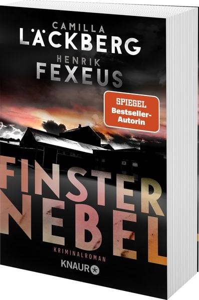 Finsternebel