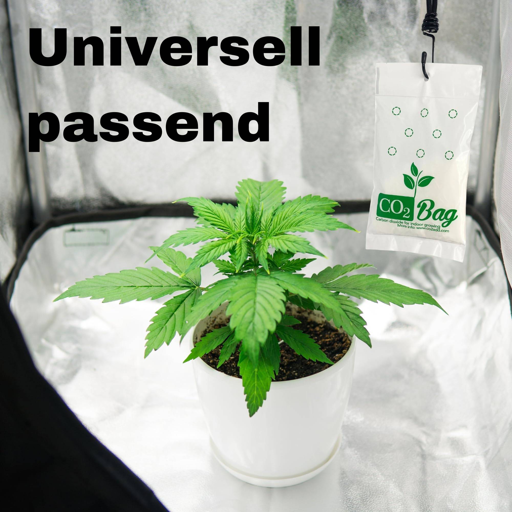 5x CO2 Bag Blüte Booster Grow Bags für Growbox Blütephase kohlendioxid-tüte für Pflanzen Zusatz Dünger Grower