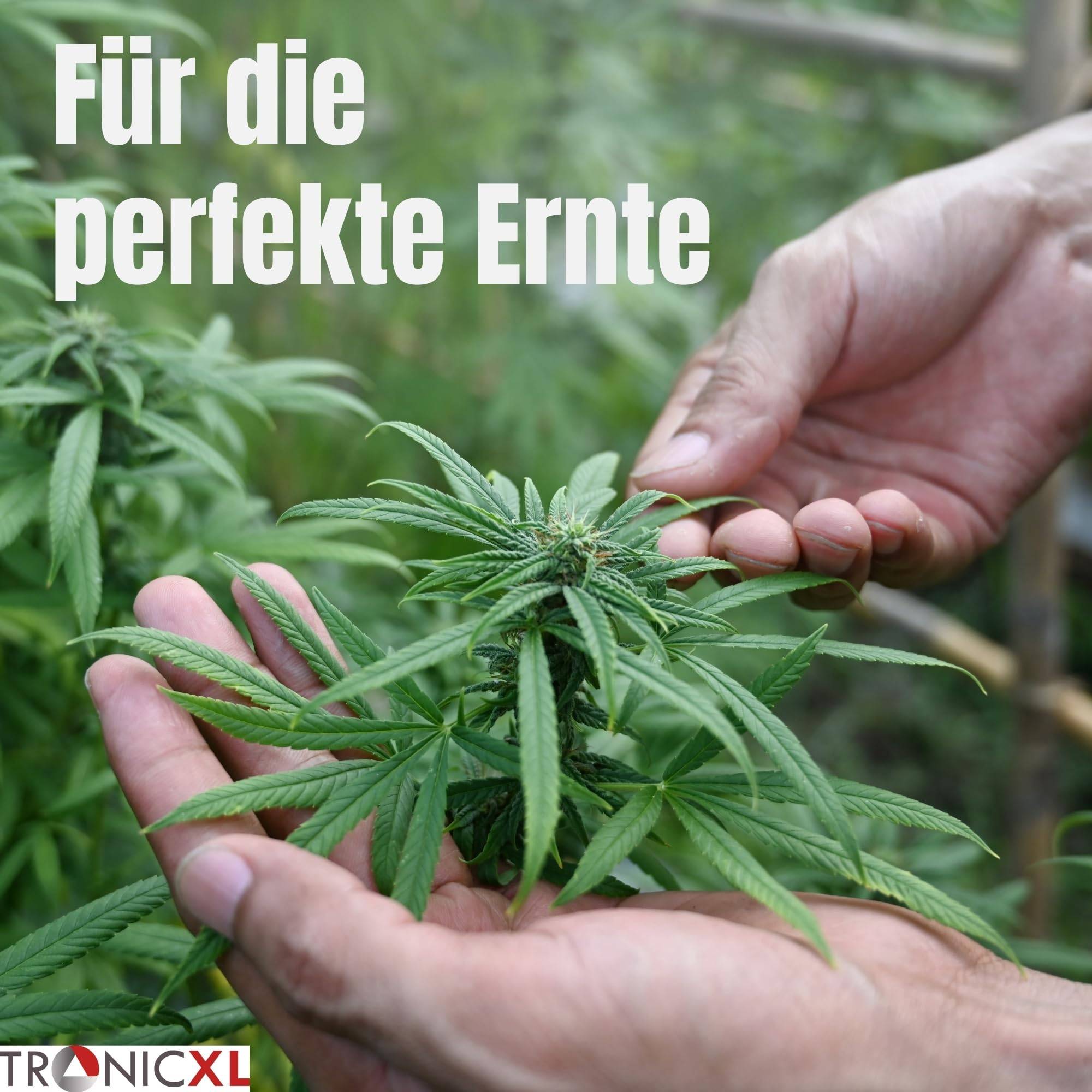 Grow Ernteschere Gartenschere Schere gebogen für Eigenanbau Growbox Zelt Klinge Trimmen Trimmer Planzen Erntehelfer