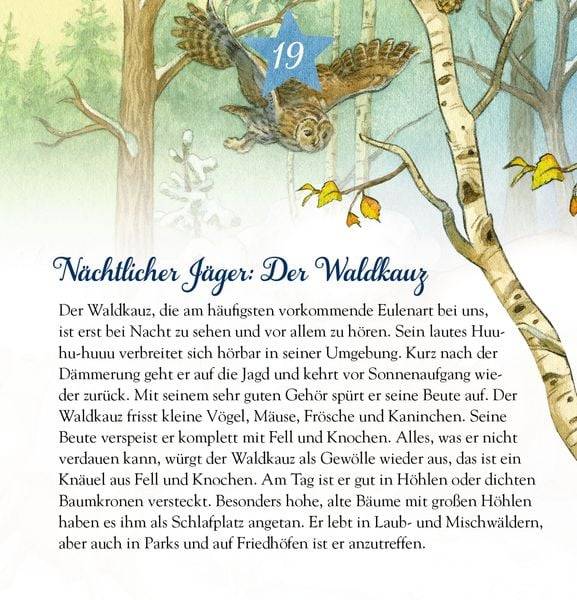 Die Tiere im Winterwald und ..., Zettel-Adventskalender