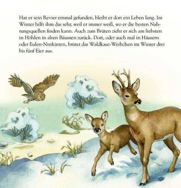 Die Tiere im Winterwald und ..., Zettel-Adventskalender