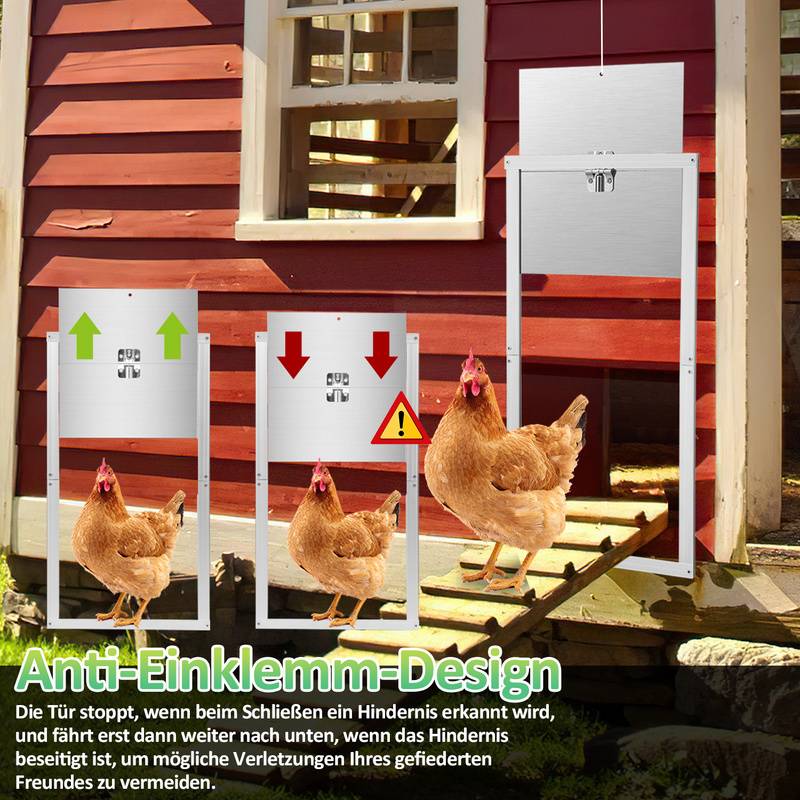 Automatische Hühnerklappe,IP44wasserdicht,aus Alu,mit LCD-Anzeige、Lichtsensor、Fernbedienung und Zeitschaltuhr,batteriebetrieben und Adapter,30x30