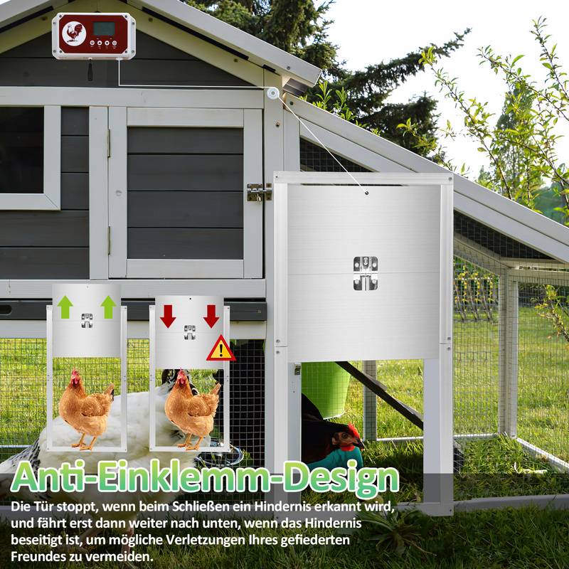 Hühnerklappe,Automatische Hühnerklappe,mit Lichtsensor、Zeitschaltuhr、LCD-Anzeige und Fernbedienung,IP44,aus Alu,batteriebetrieben und Adapter,30