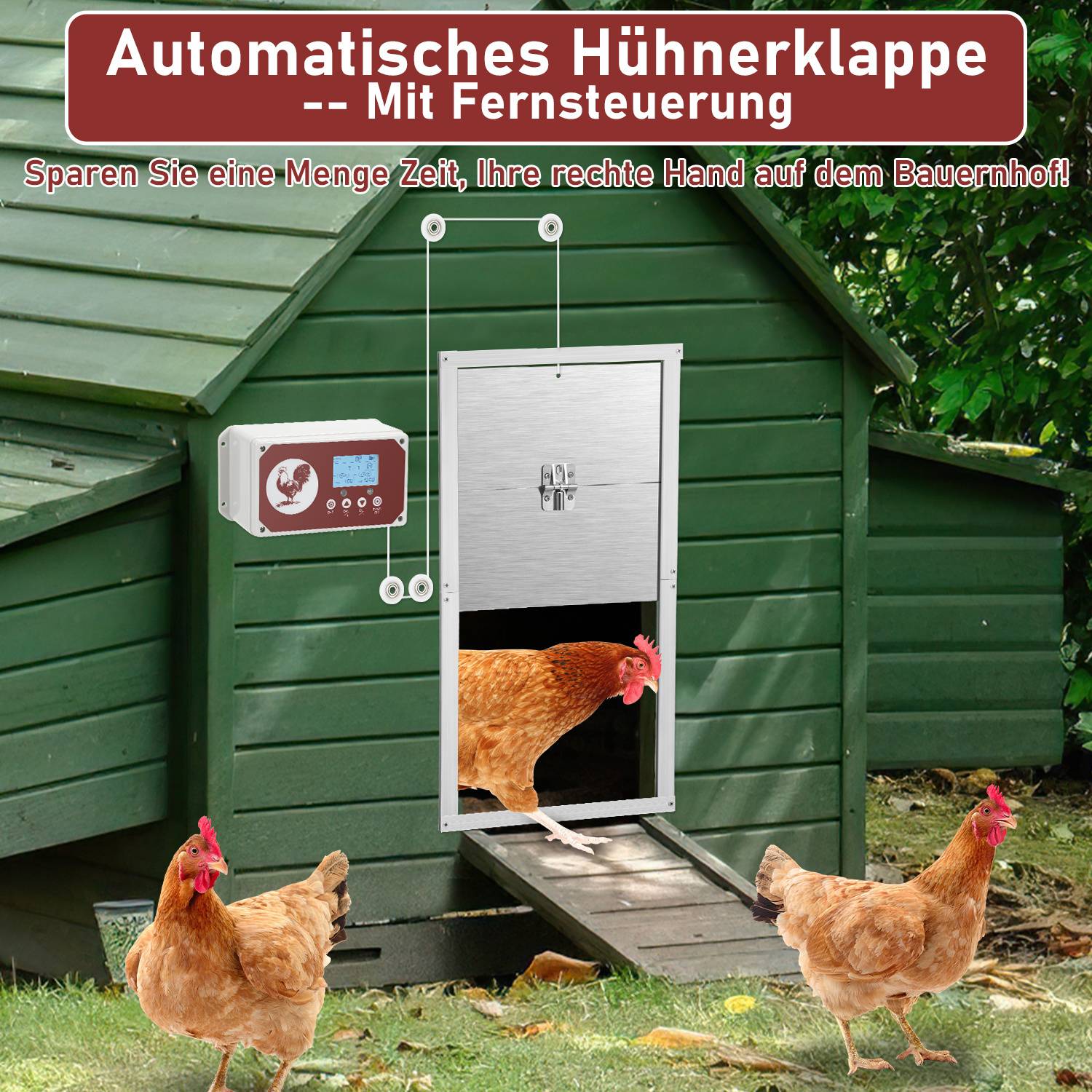 Werbebild einer "automatischen Hühnerstall-Tür"" mit Fernbedienung, das eine Henne, die in einen grünen Stall eintritt, und drei Hennen außerhalb zeigt.