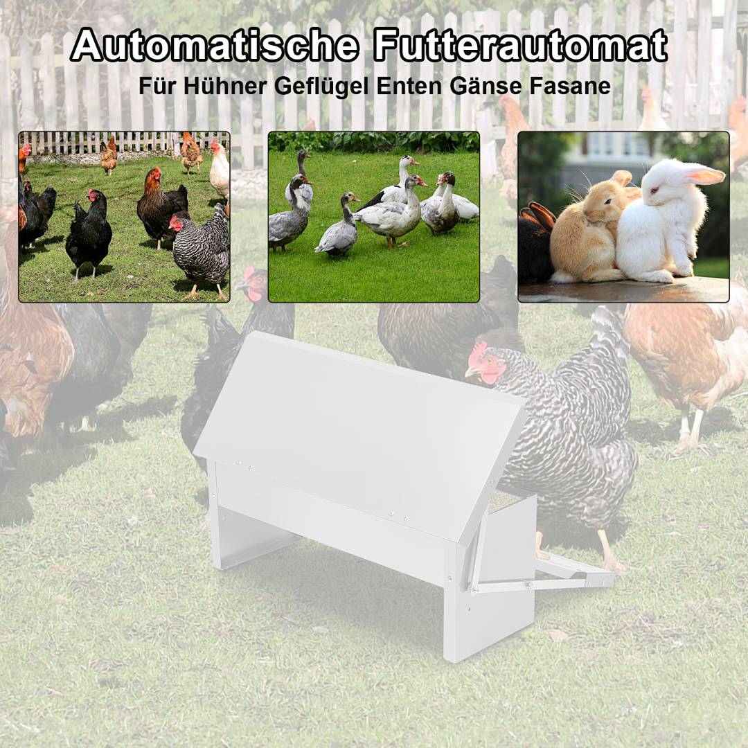 Werbebild eines automatischen Futterautomaten für Geflügel, Enten, Gänse und Fasanen, das den Futterautomaten und Beispielvögel zeigt.
