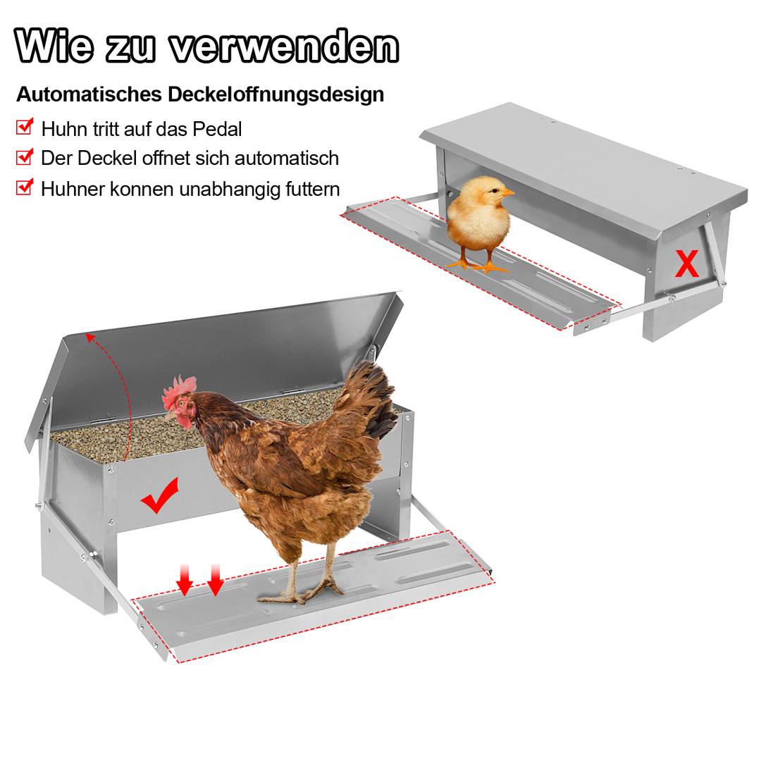 Anleitung zur automatischen Hühnerstall-Türe: Ein Huhn tritt auf das Pedal, um den Deckel zu öffnen, was die Fütterung ermöglicht, während die Tür geschlossen bleibt.
