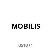 Mobilis ACTIV Pack - Case for 2in1 360 Lenovo Thinkpad X13