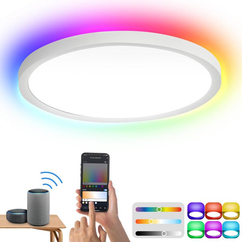 Smart LED Deckenleuchte 24W mit RGB-dimmbar - Flach, Wohnzimmer Lampen, Modern - 2040LM