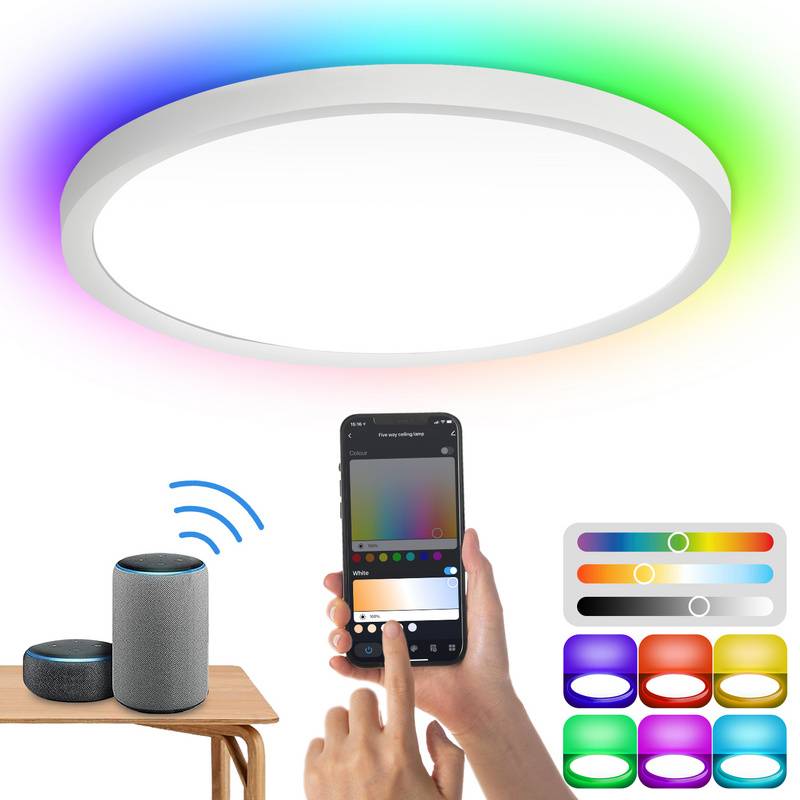 24W Smart LED Deckenleuchte für Keller mit RGB-Flurlampe, Küche, Kinderzimmer - dimmbar