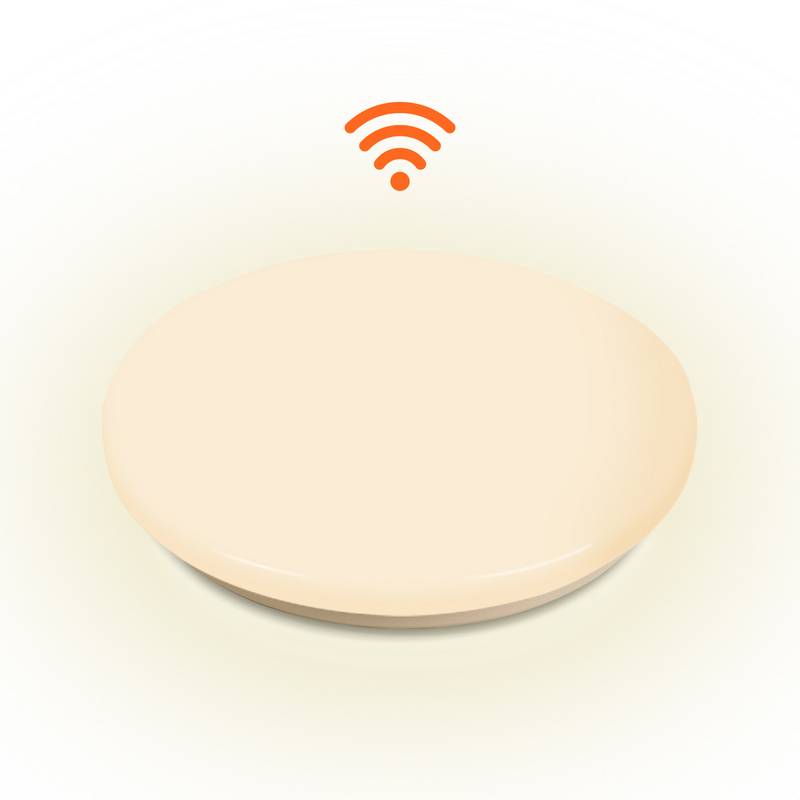 12W LED Deckenleuchte mit Bewegungsmelder Schlafzimmer Wohnraumleuchte Sensor