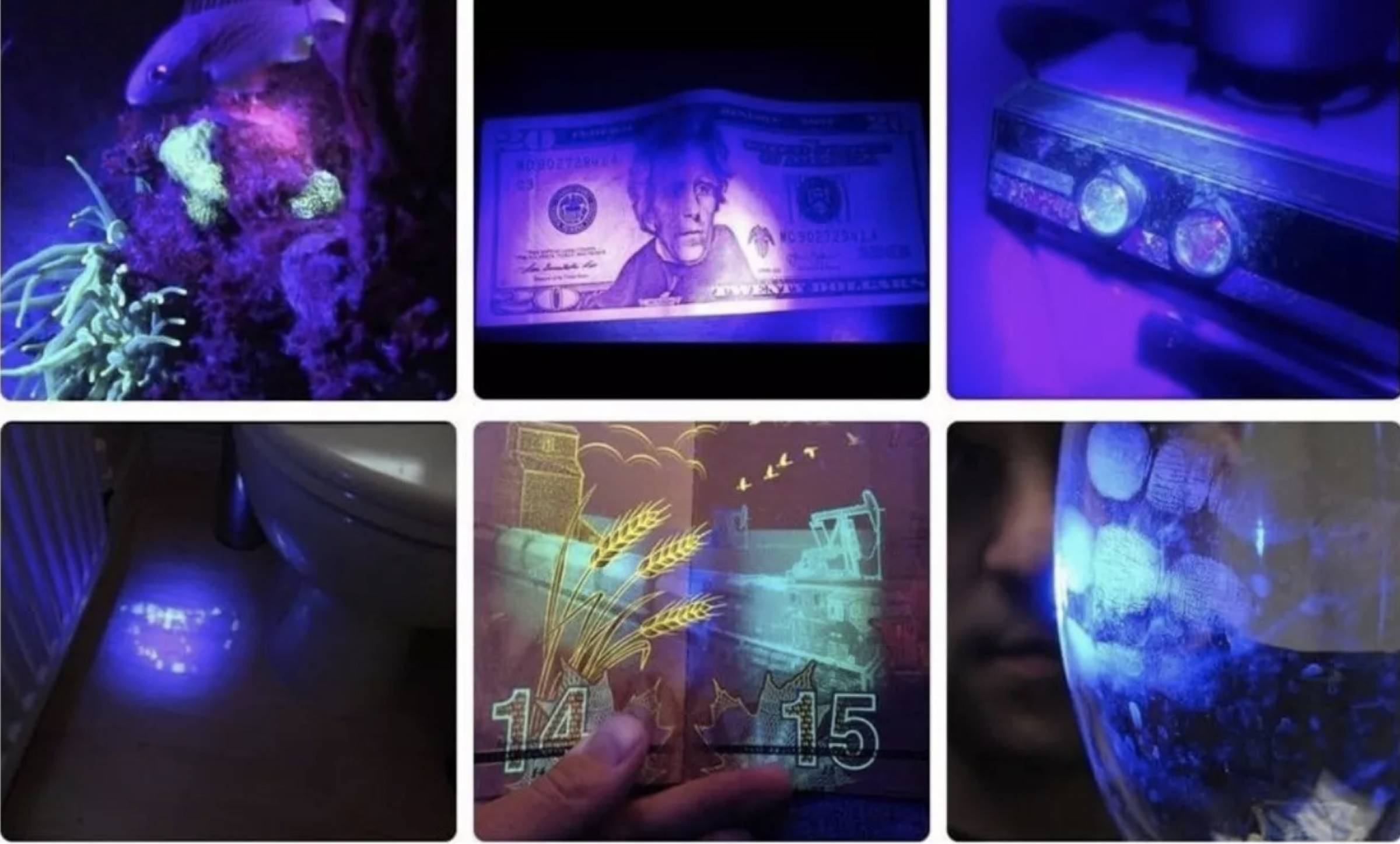 Infinio UV601 Alonefire Bold V2 10W 365nm UV Taschenlampe USB aufladbar