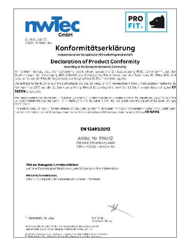 Kletterhelm EN12492 Pro Cap D!-Rock K weiß Helmschale:ABS EN 12492 PROFIT