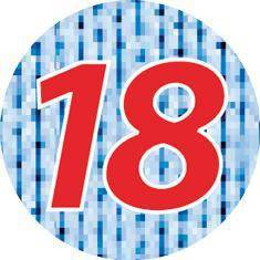 Armschützer BUENOS AIRES 45cm schwarz-melange EN388/EN407 PSA II OPTIFLEX