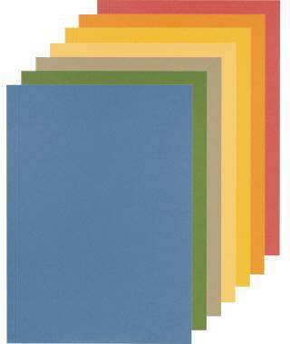 Falken Aktendeckel 80004120 23x31,8cm 250g bl 100 St./Pack.