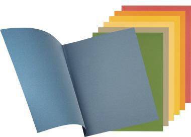 Falken Aktendeckel 80004120 23x31,8cm 250g bl 100 St./Pack.