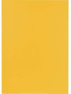 Falken Aktendeckel 80004146 23x31,8cm 250g ge 100 St./Pack.