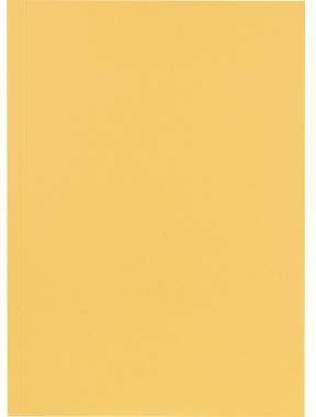 Falken Aktendeckel 80001233 23x31,8cm 250g ch 100 St./Pack.