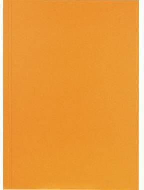 Falken Aktendeckel 80001282 23x31,8cm 250g or 100 St./Pack.