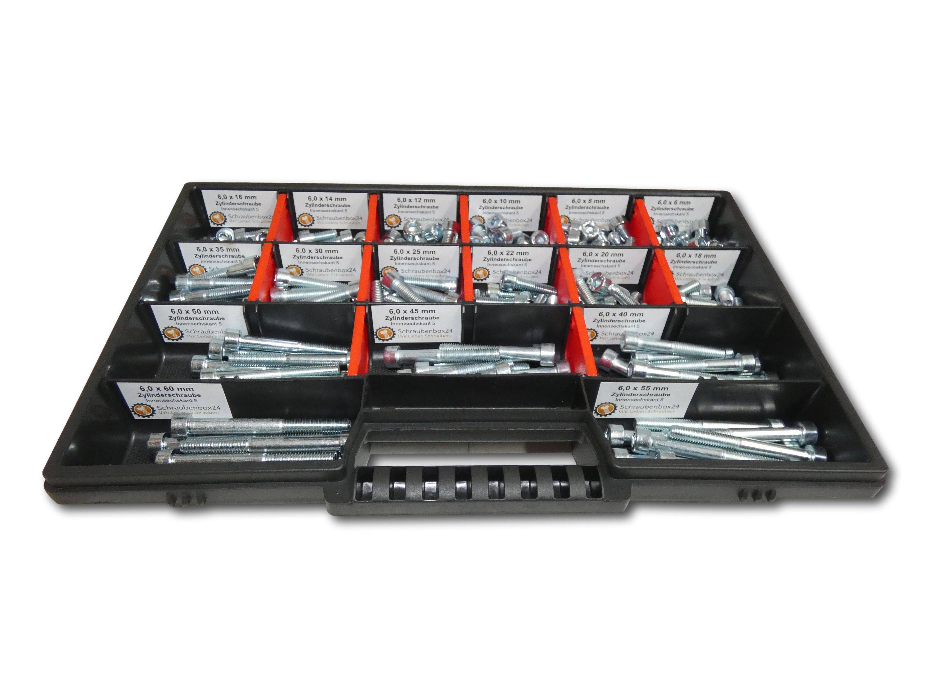 200 tlg Zylinderschrauben Sortiment M6 // 6mm-60mm Schrauben Set Schraubenbox DIN 912/ISO4762 Bolzen Vollgewindeschrauben Maschinenschrauben