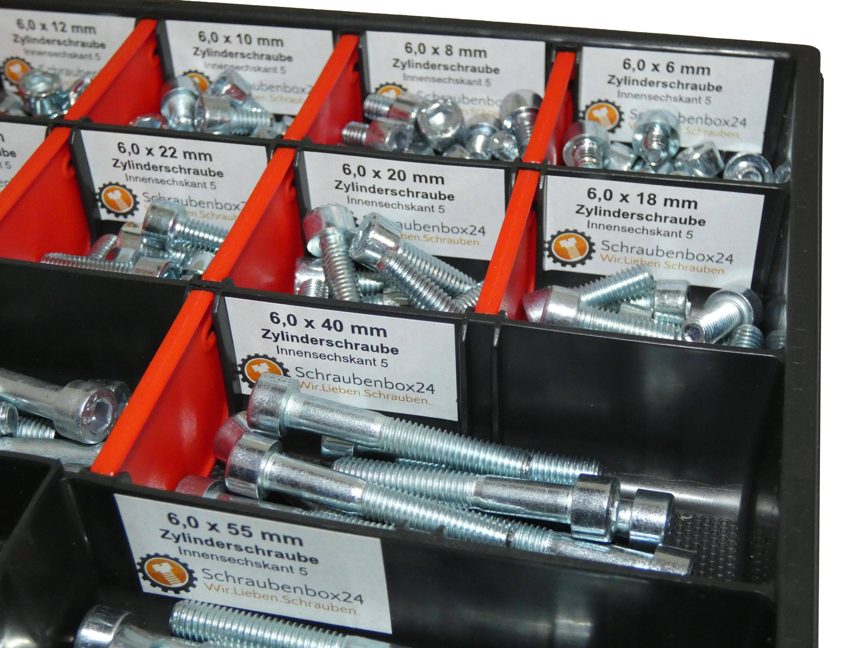 200 tlg Zylinderschrauben Sortiment M6 // 6mm-60mm Schrauben Set Schraubenbox DIN 912/ISO4762 Bolzen Vollgewindeschrauben Maschinenschrauben