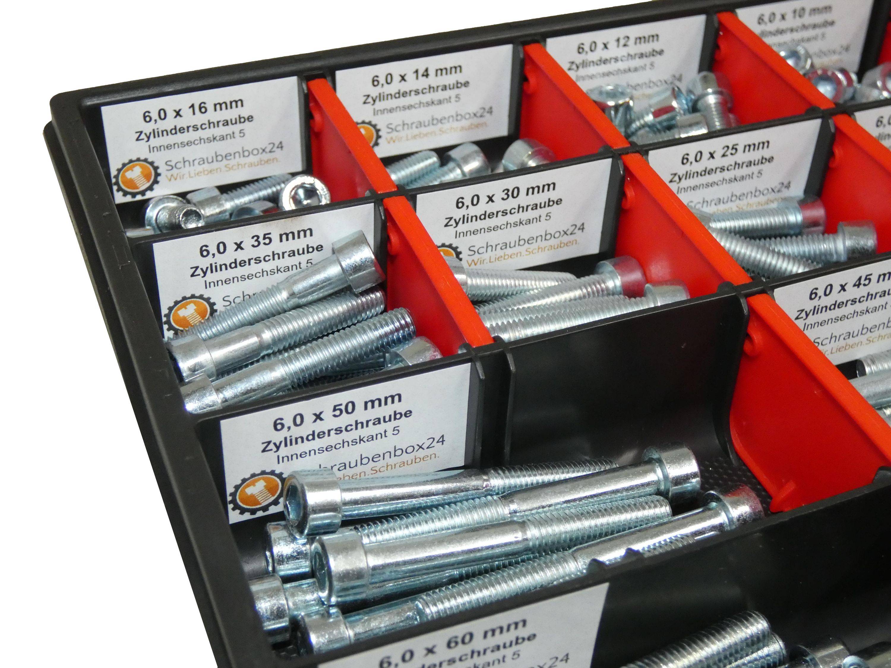 200 tlg Zylinderschrauben Sortiment M6 // 6mm-60mm Schrauben Set Schraubenbox DIN 912/ISO4762 Bolzen Vollgewindeschrauben Maschinenschrauben