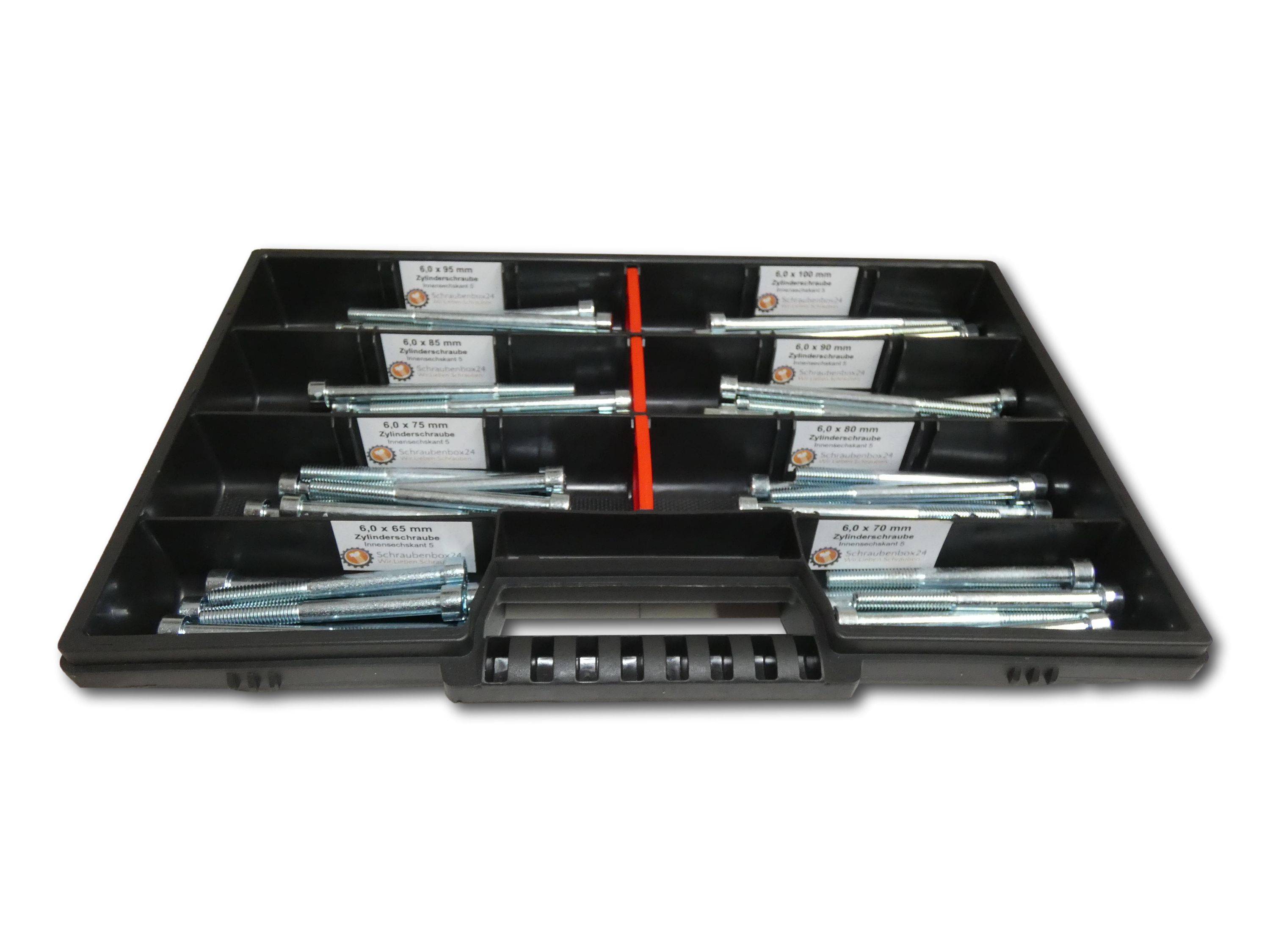 80 tlg Zylinderschrauben Sortiment M6 // 65mm-100mm Schrauben Set Schraubenbox DIN 912/ISO4762 Bolzen Vollgewindeschrauben Maschinenschrauben