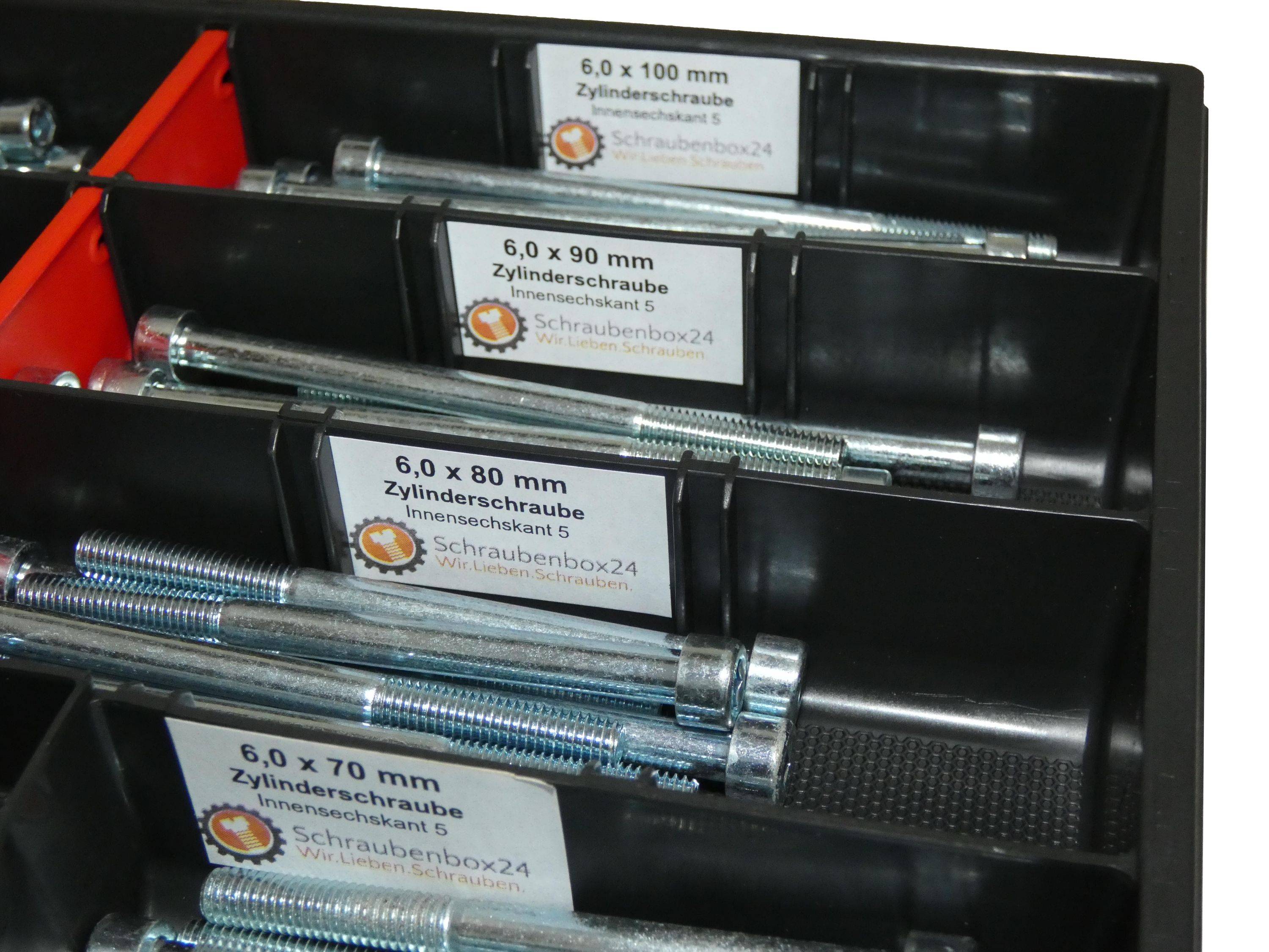 80 tlg Zylinderschrauben Sortiment M6 // 65mm-100mm Schrauben Set Schraubenbox DIN 912/ISO4762 Bolzen Vollgewindeschrauben Maschinenschrauben