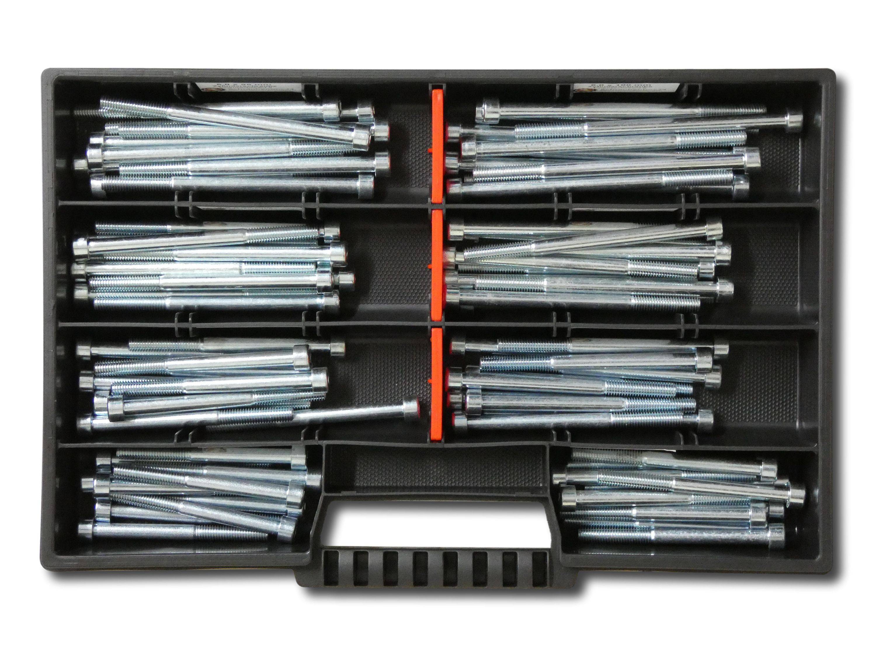 80 tlg Zylinderschrauben Sortiment M6 // 65mm-100mm Schrauben Set Schraubenbox DIN 912/ISO4762 Bolzen Vollgewindeschrauben Maschinenschrauben