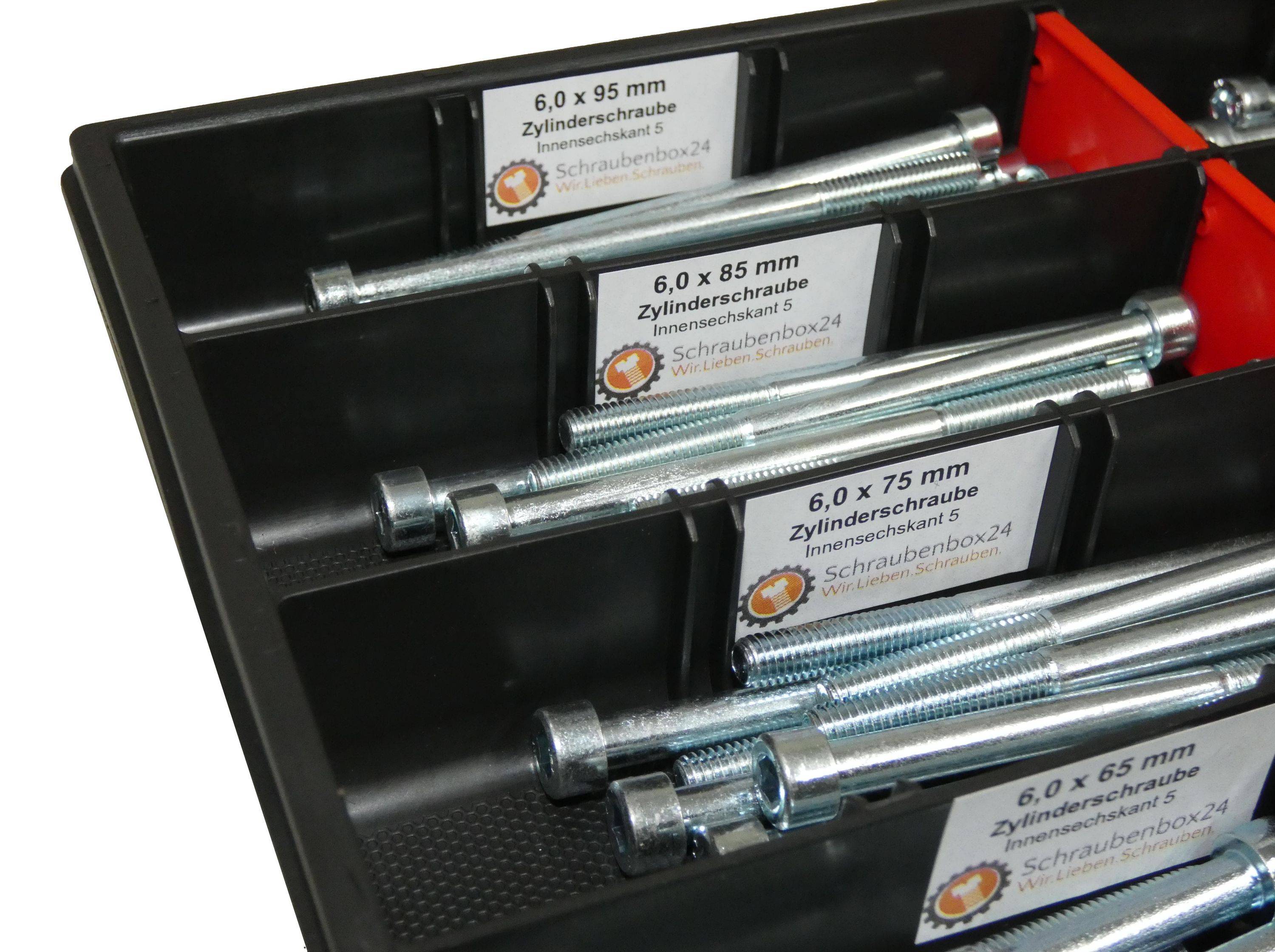 80 tlg Zylinderschrauben Sortiment M6 // 65mm-100mm Schrauben Set Schraubenbox DIN 912/ISO4762 Bolzen Vollgewindeschrauben Maschinenschrauben