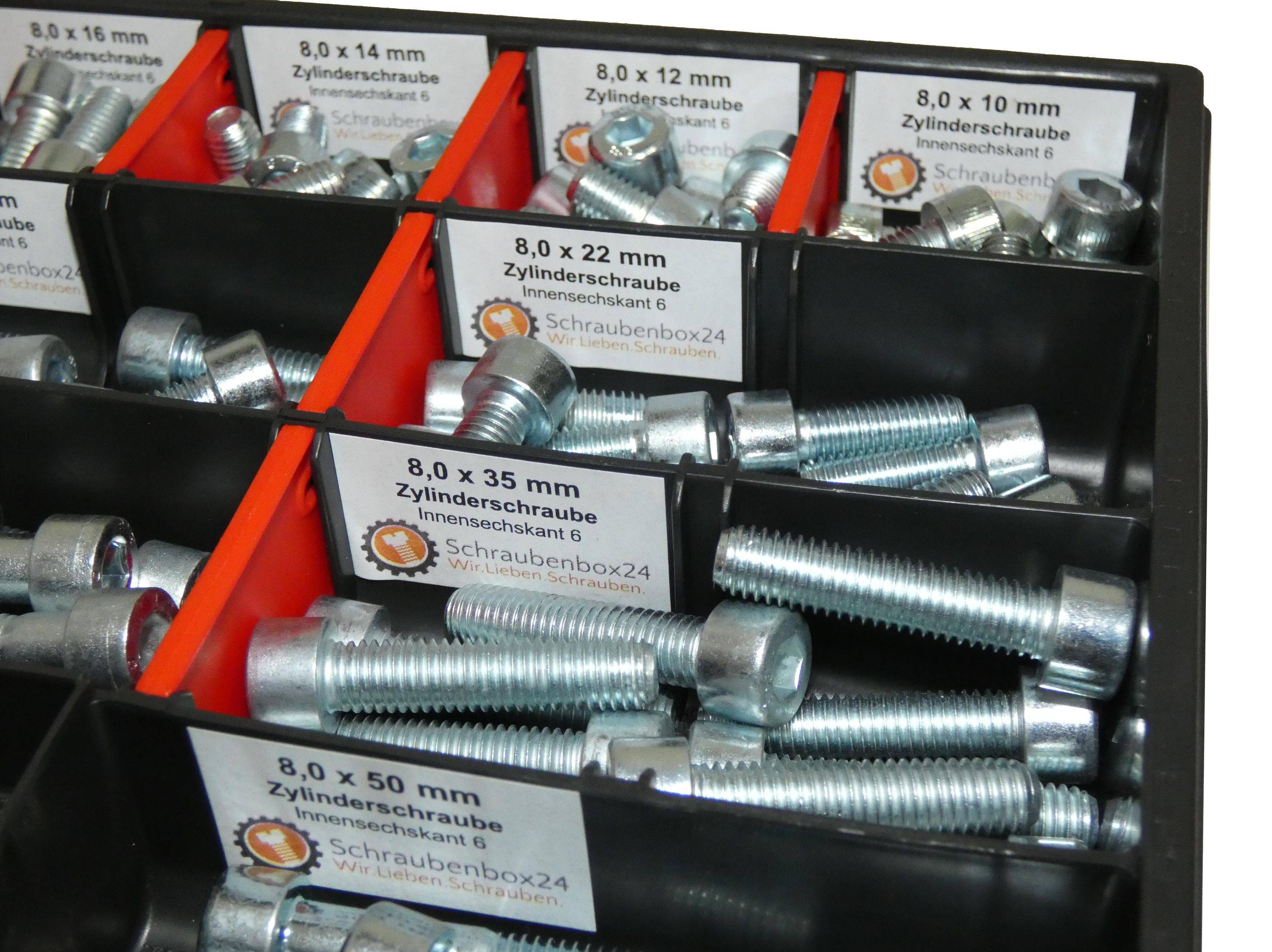 130 tlg Zylinderschrauben Sortiment M8 // 10mm-55mm Schrauben Set Schraubenbox DIN 912/ISO4762 Bolzen Vollgewindeschrauben Maschinenschrauben