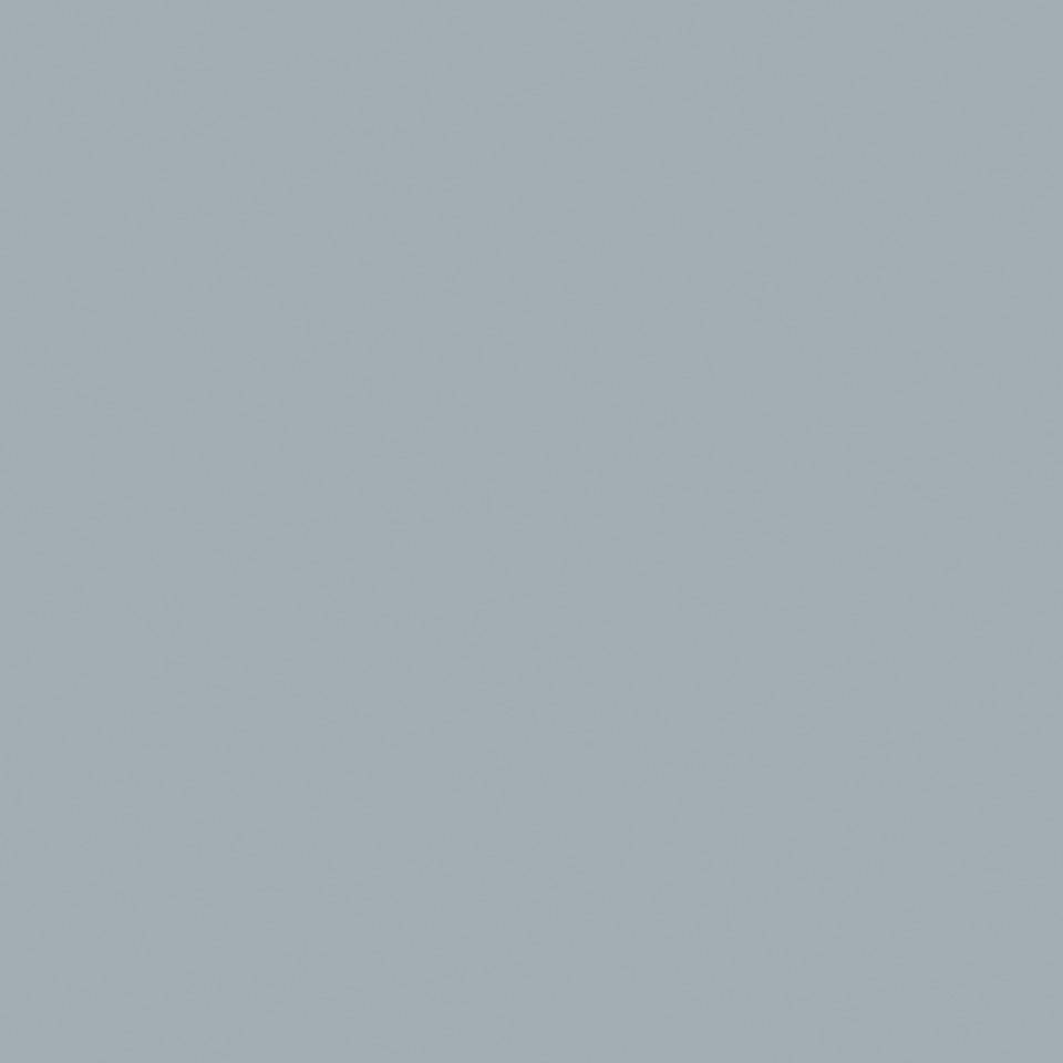 Hallenfarbe PROline paint, 1-Komponentenfarbe, silbergrau (RAL 7001), 5 l