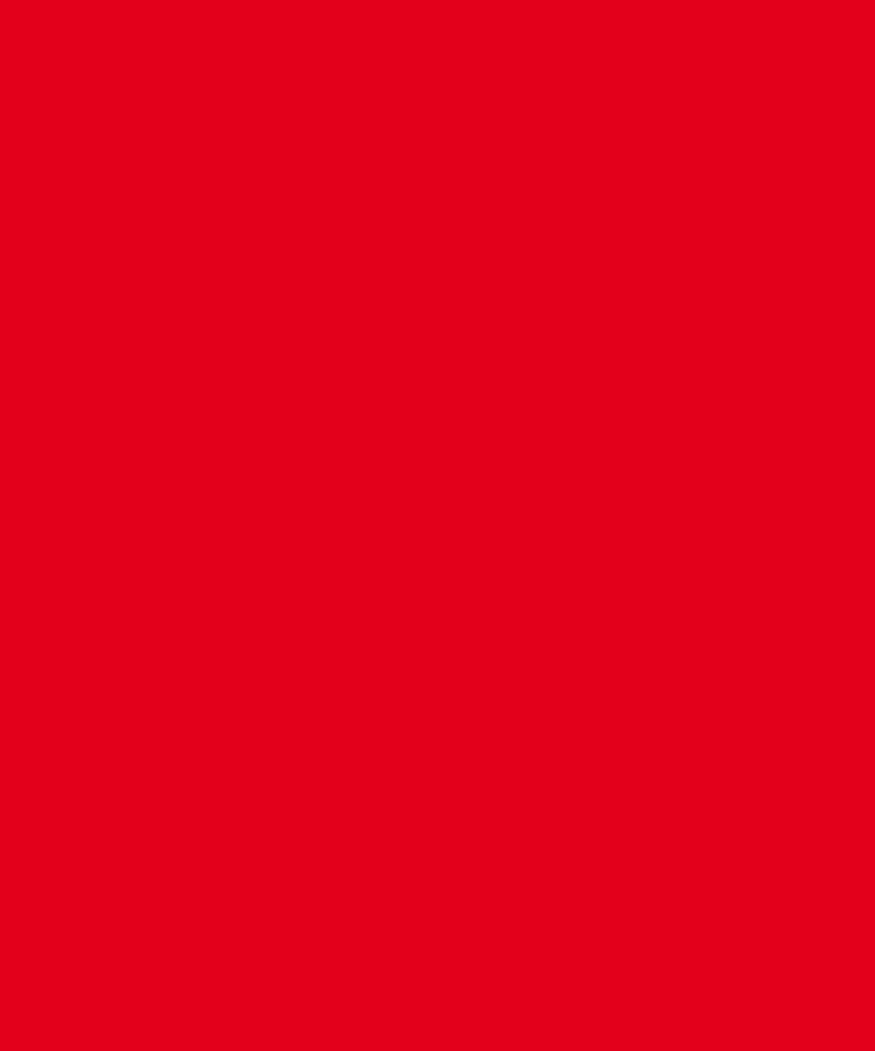 Kollianhänger, blanko, rot, Kunststoff, 1 Befestigungsloch, 64x120mm, 500/VE
