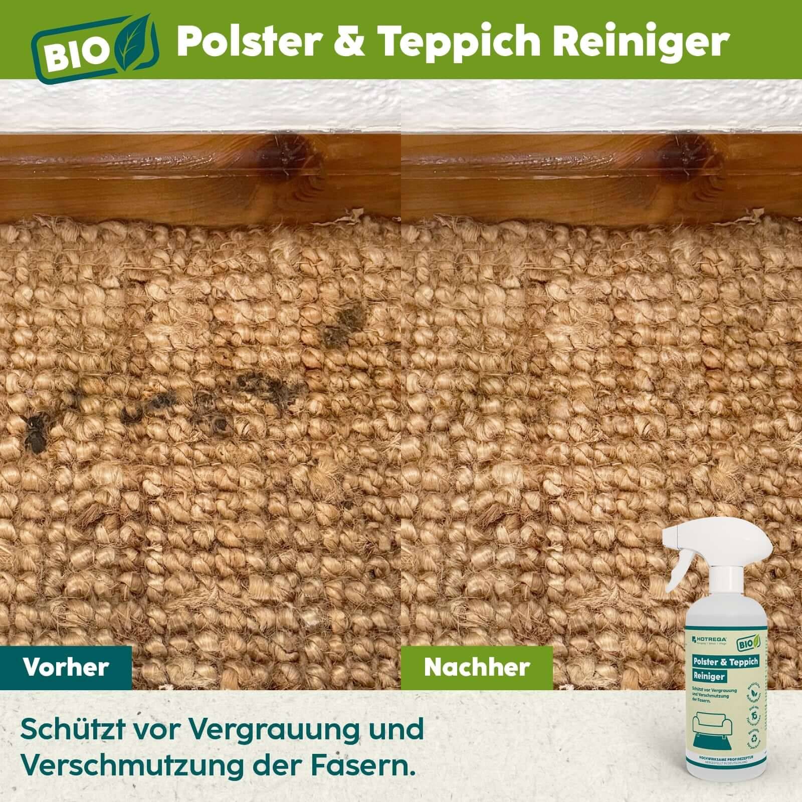 HOTREGA BIO Polster- und Teppich-Reiniger 500ml