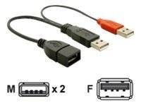 DELOCK USB Y-Kabel A -> 2x A Bu/St 0.225m Multimedia-Technik USB-Kabel