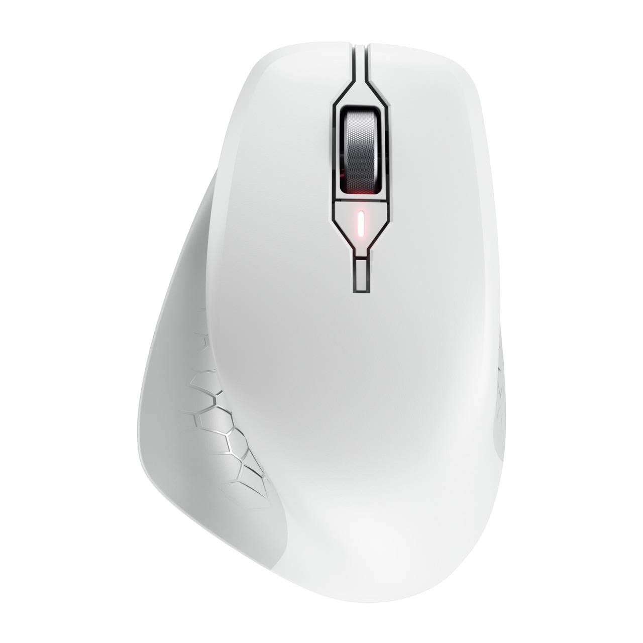 Cherry STREAM MOUSE COMFORT - Maus - ergonomisch - Für Rechtshänder - optisch - 6 Tasten - kabellos - 2.4 GHz - kabelloser Empfänger (USB)