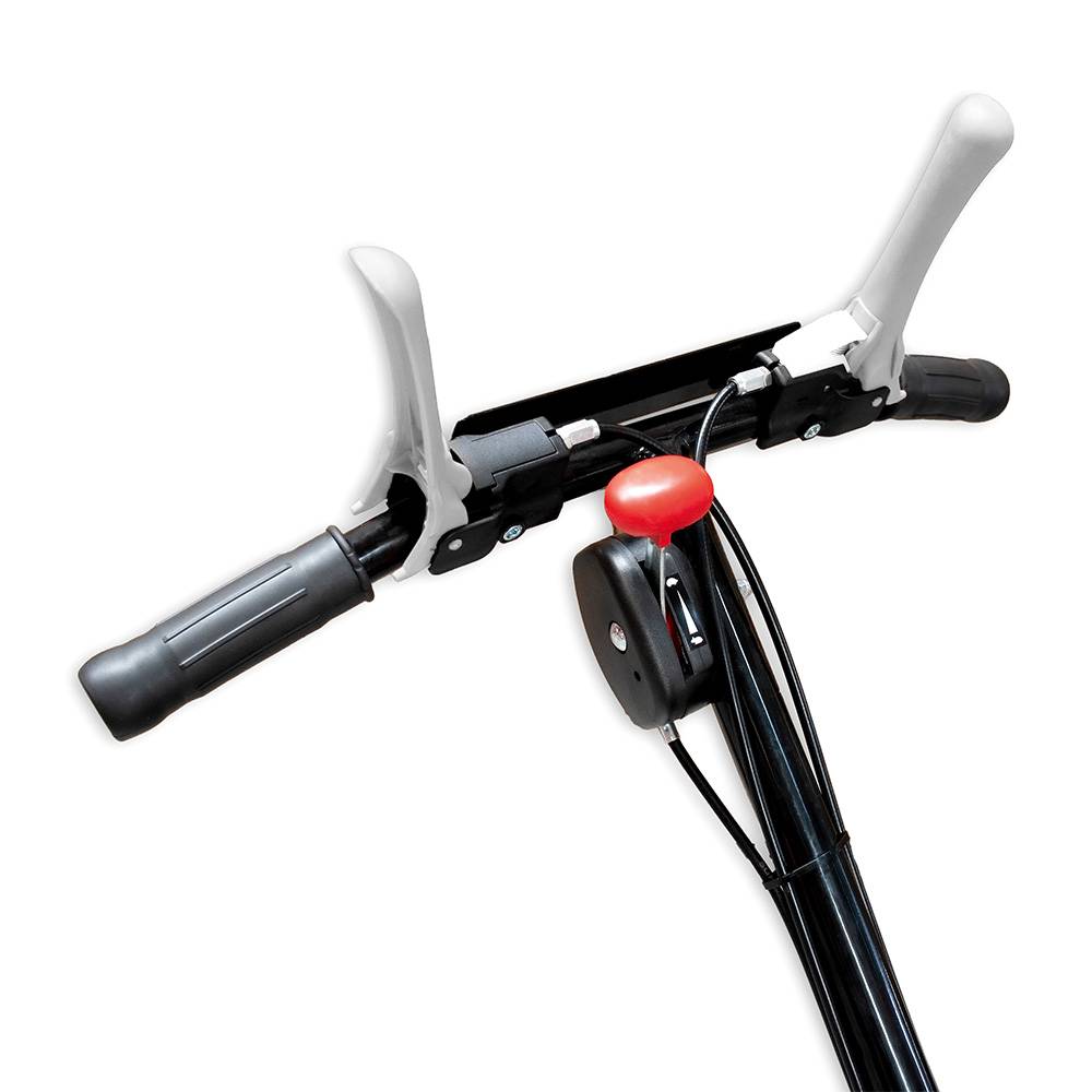 BAMATO Mulchmäher GM-200 mit LONCIN Motor