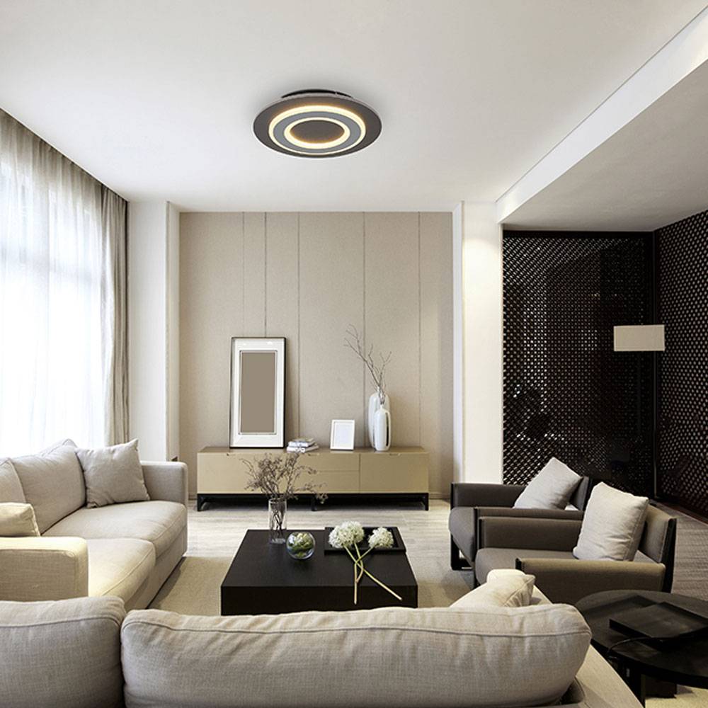 Deckenlampe Deckenleuchte Wohnzimmerlampe Schlafzimmerlampe Esszimmerleuchte, Metall Acryl anthrazit grau, LED 24W 710Lm 3000K warmweiß, D 32 cm