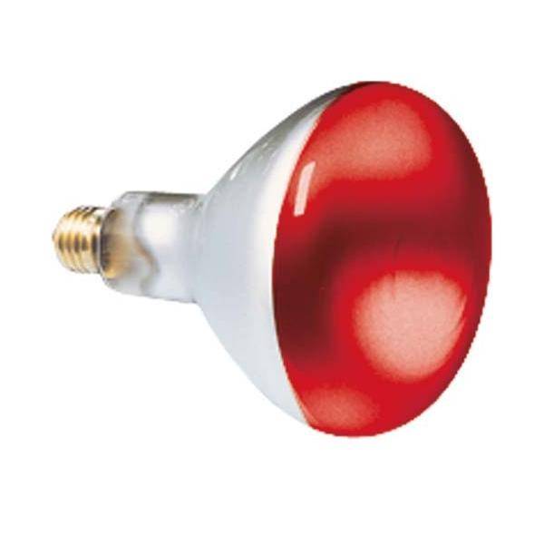 Scharnberger+Hasenbein Reflektorlampe 80x110mm 41624