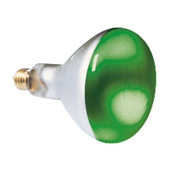 Scharnberger+Hasenbein Reflektorlampe 80x110mm 41628