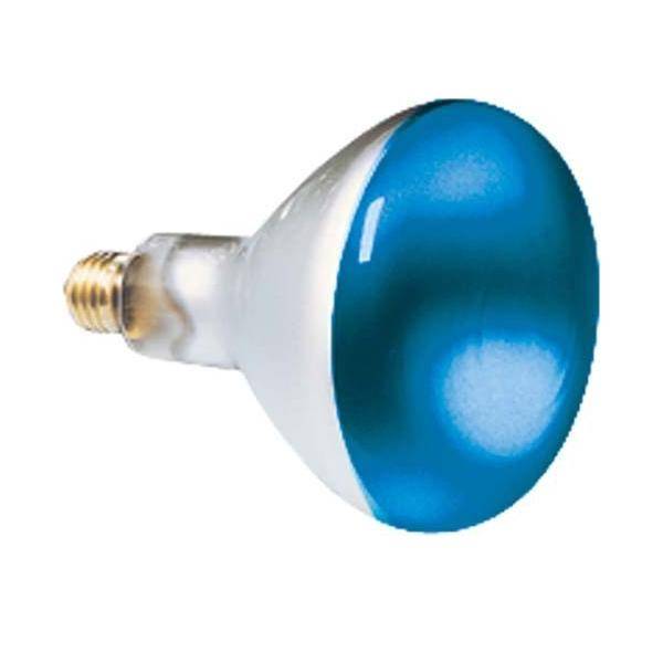 Scharnberger+Hasenbein Reflektorlampe 80x110mm 41630