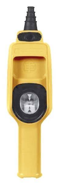 Schneider Electric Hängetaster XACD21A1241