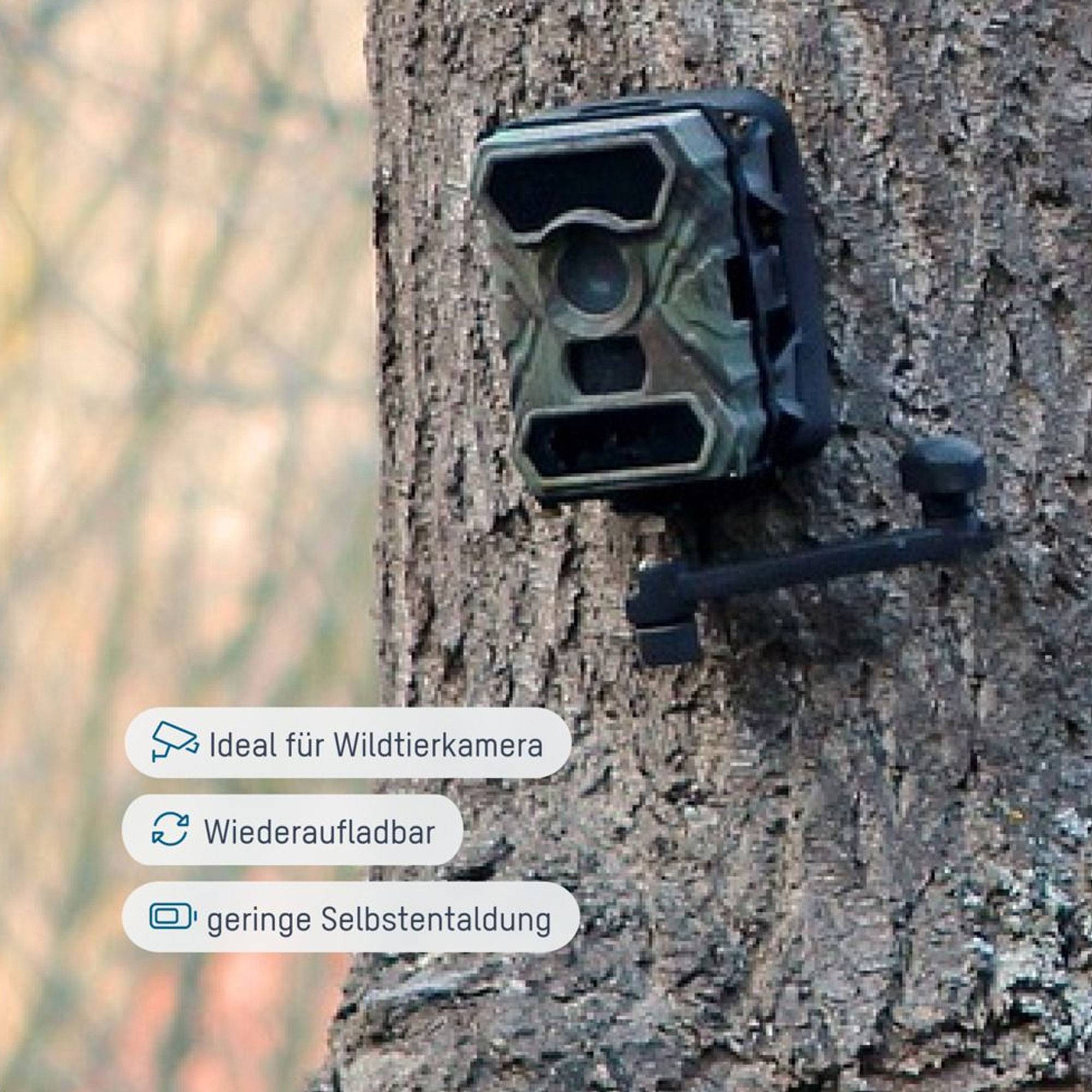 Wildtier, Wildkamera NiMH Akku Mignon AA 2100 mAh maxE 4er Stück