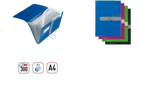 Herlitz Fächermappe A4 PP beere 12 Fächer m.Gummizug Multimedia-Technik